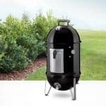 731001 Weber Smokey Mountain 22